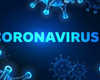 Corona Virus
